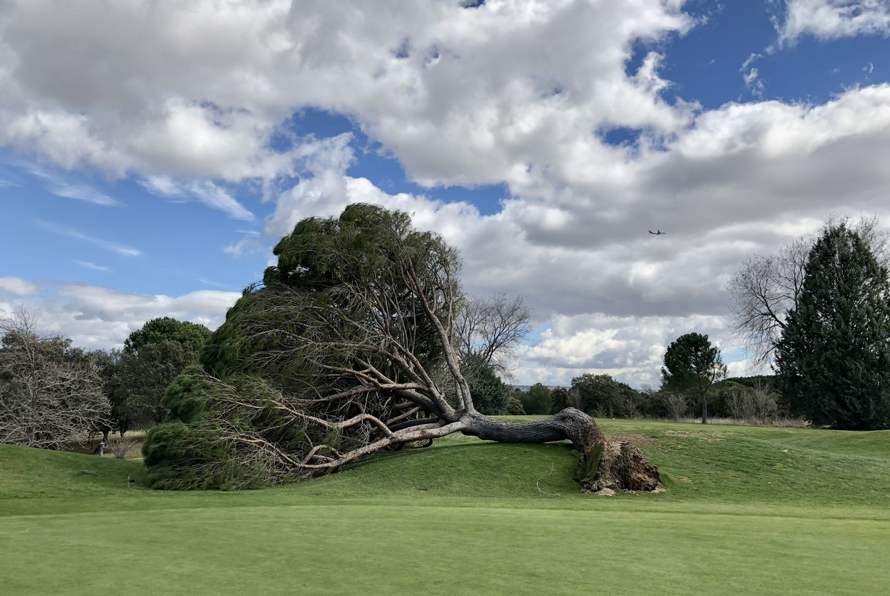 tee to green insurance