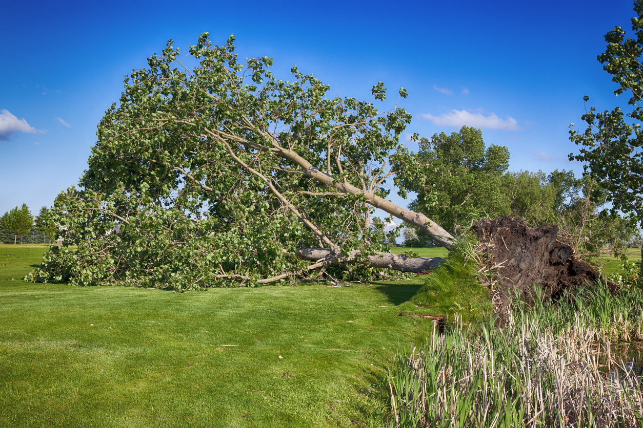 golf course insurance coverage