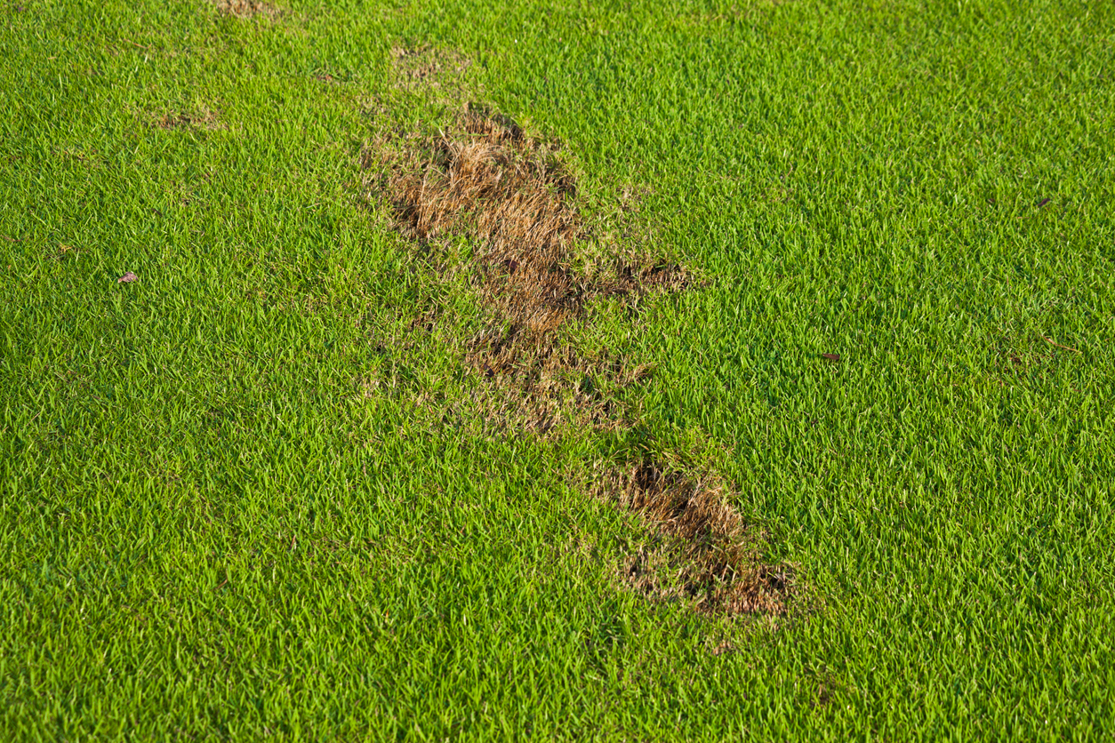 golf course insurance coverage